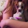 craigtabitha712